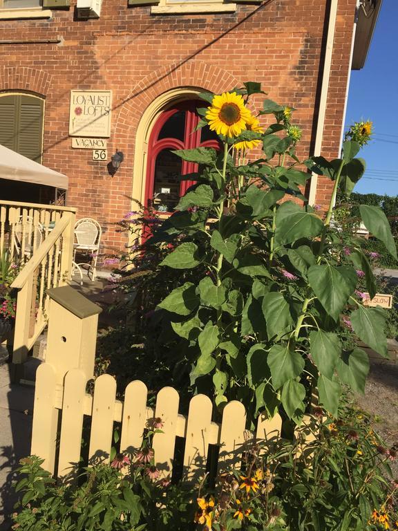 Loyalist Lofts Lägenhet Picton Exteriör bild